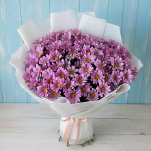Букет цветов из:  Хризантемы #REPLACE_PRED# Варениковской